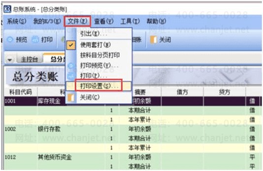 ��ӡ����ѡ��